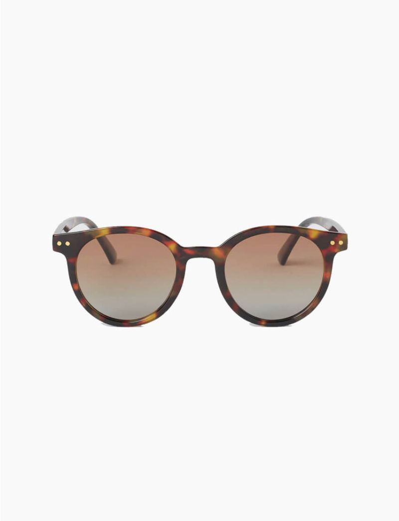 Polarised Sunglasses-Brown